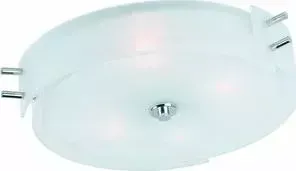 Светильник ST-Luce Потолочный SL484.502.04