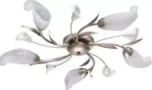 Потолочная люстра MW-LIGHT MW-Light 242016205