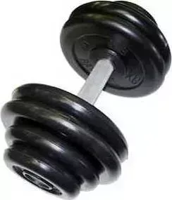 Гантель MB Barbell профессиональная "Профи" черная 48.5 кг