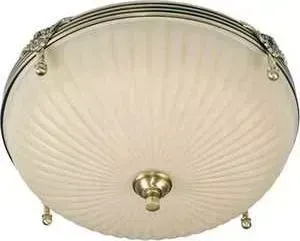 Светильник MW-LIGHT Потолочный 317011303