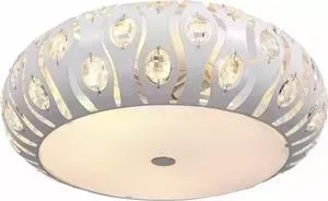 Светильник ST-Luce Потолочный SL793.502.05