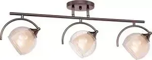 Потолочная люстра Silver Light Sfera 255.59.3