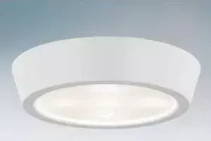 Светильник Lightstar Потолочный светодиодный 214902