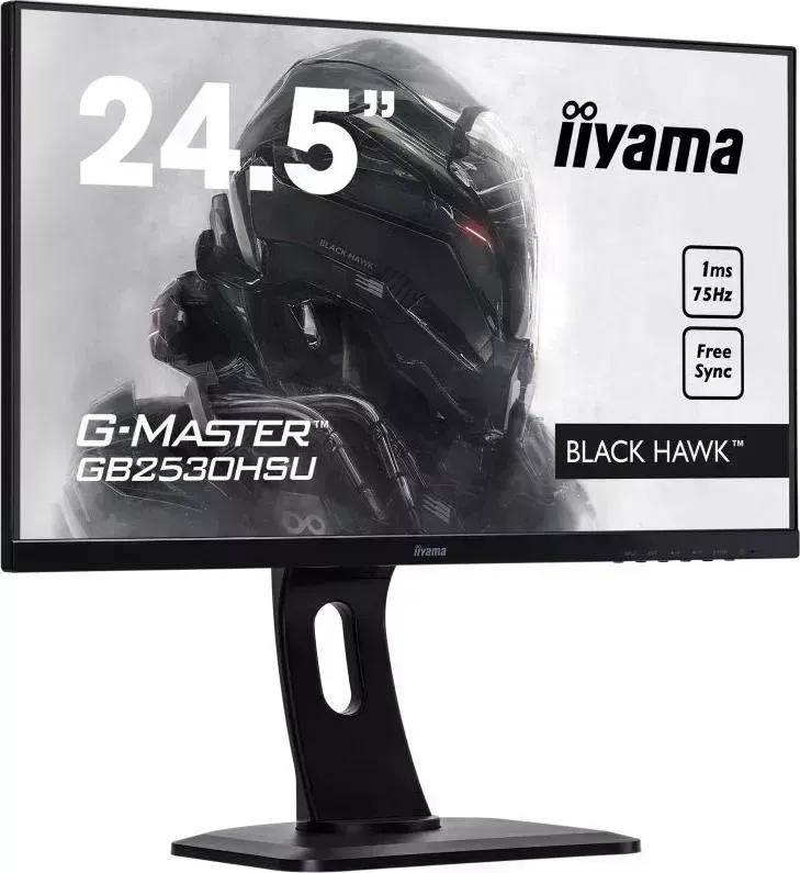 Монитор IIYAMA GB2530HSU-B1