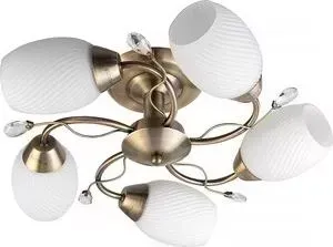 Потолочная люстра Toplight TL3580X-05AB