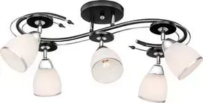Потолочная люстра Silver Light Austerity 245.59.5