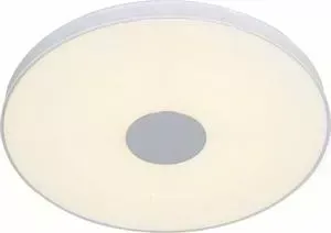 Светильник ST-Luce Потолочный светодиодный SL473.552.01