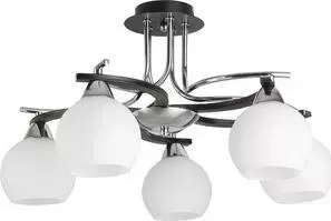 Потолочная люстра Toplight TL2670X-05WC