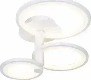 Потолочная светодиодная люстра ST-Luce SL869.502.03