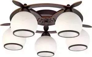 Потолочная люстра Omnilux OML-50507-05
