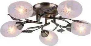 Люстра ARTELAMP A6157PL-5AB
