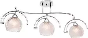 Потолочная люстра Silver Light Sfera 255.54.3