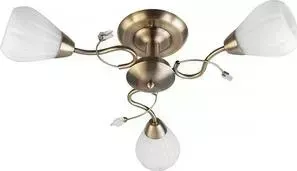 Потолочная люстра Toplight TL3570X-03AB