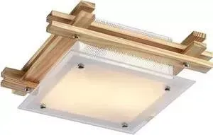 Потолочный светильник ARTELAMP A6460PL-2BR