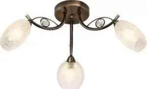 Потолочная люстра Silver Light Anjou 235.53.3