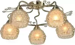 Потолочная люстра IDLamp 286/5PF-Oldbronze