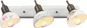 Спот ST-Luce SL261.501.03
