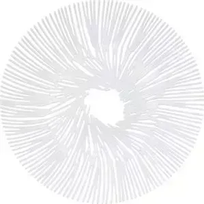 Блюдо для фруктов Koziol белое Anemone (3538525)