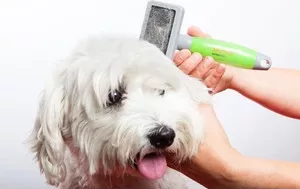 Фото №2 Пуходерка MOSER маленькая с силиконовой ручкой для собак