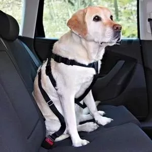 Ремень TRIXIE безопасности автомобильный для собак 50-70см (1291)