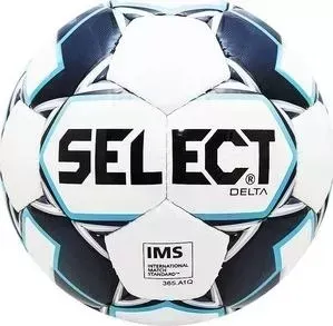 Мяч футбольный Select Delta 815017-009 р. 5