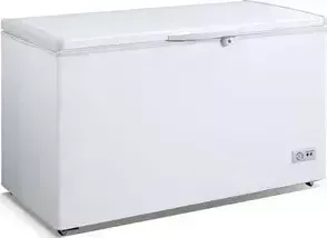 Ларь морозильный DAEWOO Electronics FCF-320