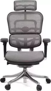 Кресло офисное Comfort Seating Group эргономичное EHPE-AB-HAM (Д) KMD-30 ergohuman plus elite grey