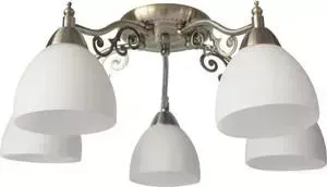 Потолочная люстра Toplight TL7371X-05AB