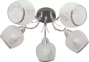 Потолочная люстра Toplight TL7410X-05BC