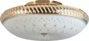 Потолочный светильник Toplight TL1492Y-05GC