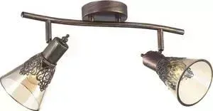 Спот Favourite 1795-2U
