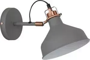Спот ODEON 3330/1W
