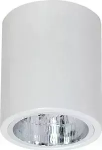 Точечный светильник LUMINEX 7236
