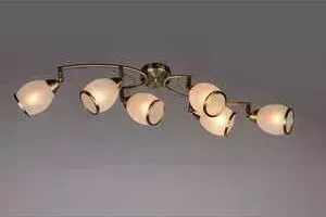 Спот Omnilux OML-35127-06