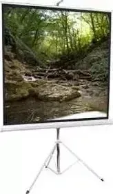 Экран ScreenMedia Apollo-T STM-1103