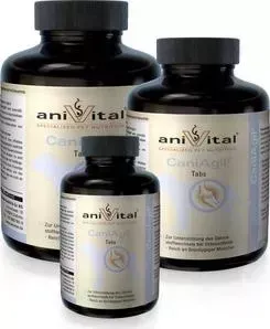 Пищевая добавка Anivital CaniAgil хондропротектор для собак 120таб/280г (523855)