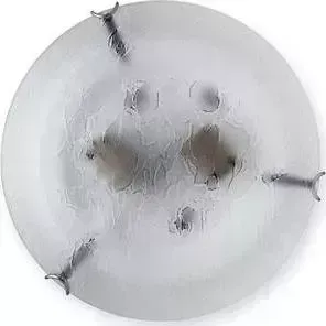 Настенный светильник Toplight TL9301Y-02SM