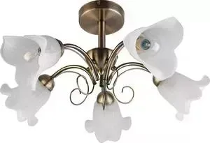 Потолочная люстра Toplight TL3490X-05AB