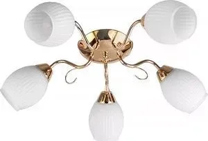 Потолочная люстра Toplight TL3520X-05FG