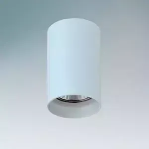 Точечный светильник Lightstar 214435