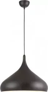 Потолочный светильник Artelamp A3266SP-1BK