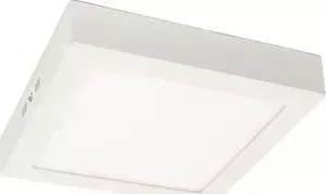 Потолочный светильник ARTELAMP A3618PL-1WH