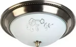 Потолочный светильник Toplight TL5020Y-02AB