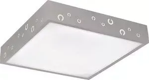 Потолочный светильник Silver Light 869.30.7
