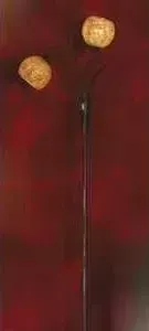 Торшер LUSSOLE LSF-6205-02