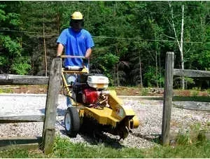 Измельчитель RAYCO RG 13