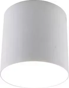 Потолочный светильник Divinare 1463/03 PL-1