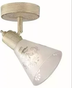 Спот Favourite 1794-1W