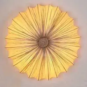 Потолочный светильник ST-Luce SL 351.072.05