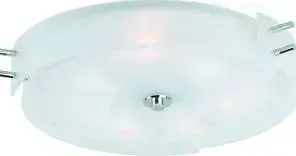 Потолочный светильник ST-Luce SL484.502.06